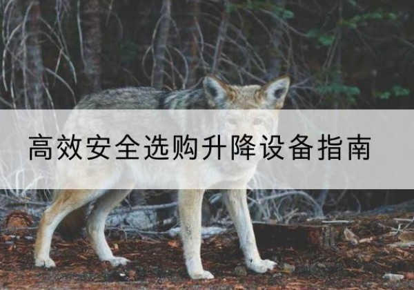 龙潭升降货梯厂家推荐-*安全选购升降设备指南