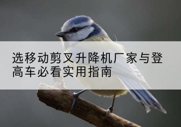 龙潭电动升降机厂家-选移动剪叉升降机厂家与登高车必看实用指南