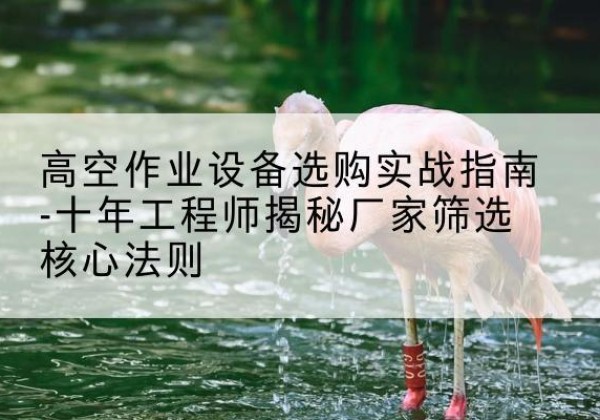 龙潭剪叉式升降机厂家-高空作业设备选购实战指南-十年工程师揭秘厂家筛选核心法则